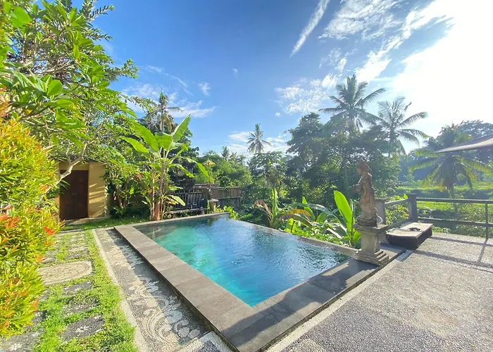 The Oding House